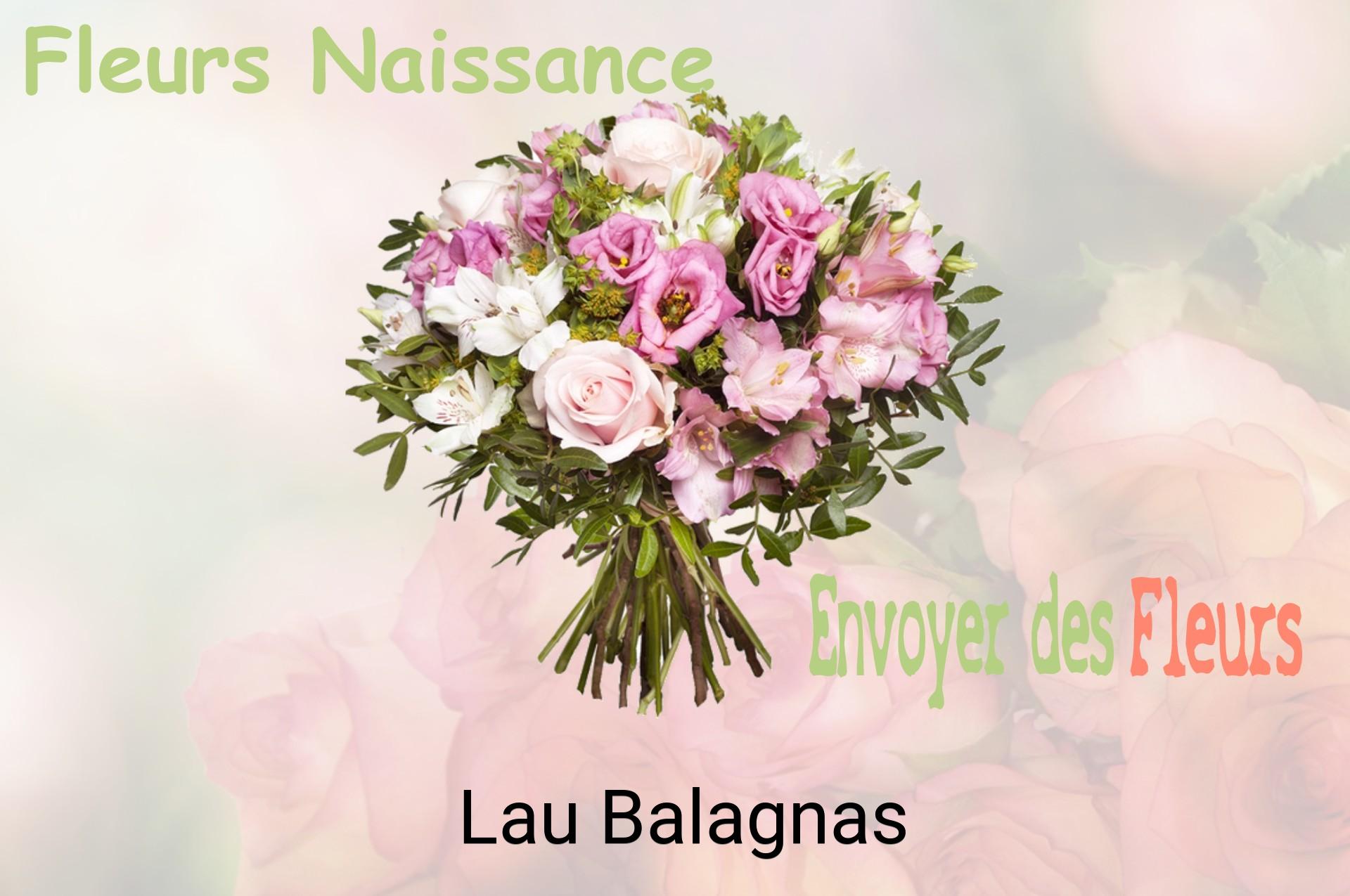Bouquet de fleurs de naissance livré à Lau-Balagnas
